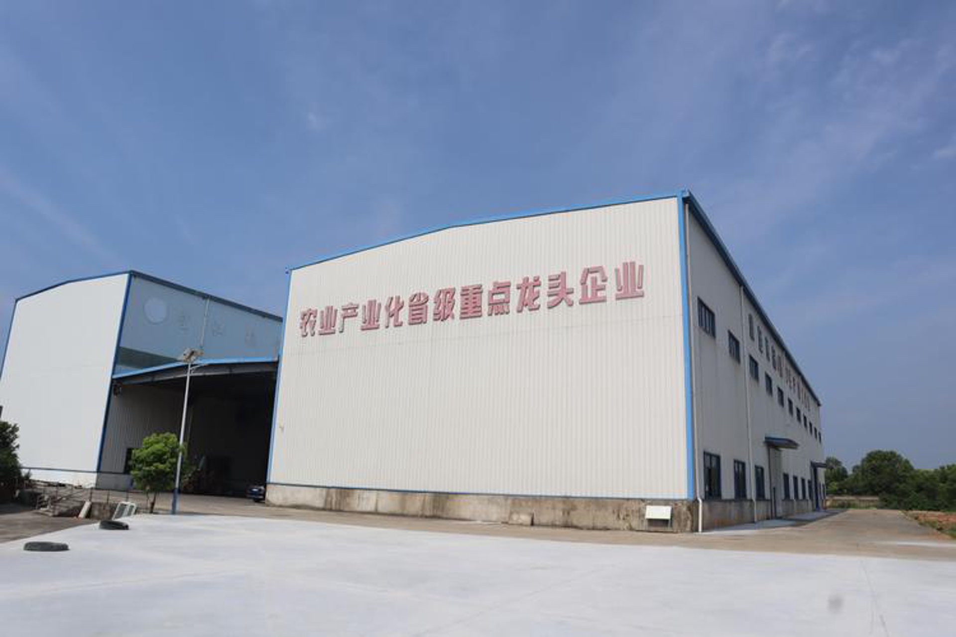 信益网具